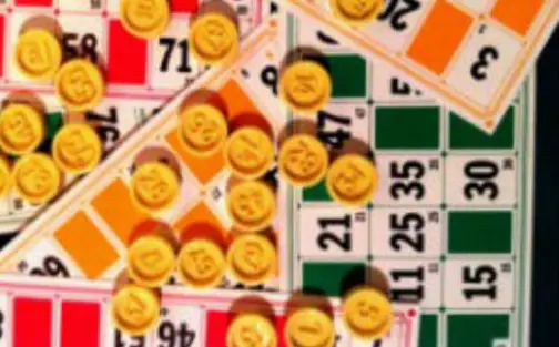 Regle loto bingo